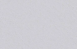 6 Rollen Erfurt Variovlies Style Tapete Glattvlies 90m² -A Creation Geschaft 1 Karton Erfurt Variovlies Style Struktur Tapete G