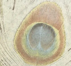 Harald Glööckler Tapeten Weiß Pfauenauge Panel 52725