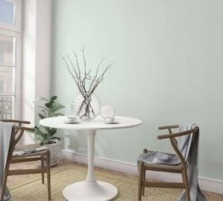 Vliestapete Ivy Einfarbig Grün 82311 Novamur -A Creation Geschaft Vliestapete Ivy Uni Struktur Gruen 82311 Novamur 63213350 3